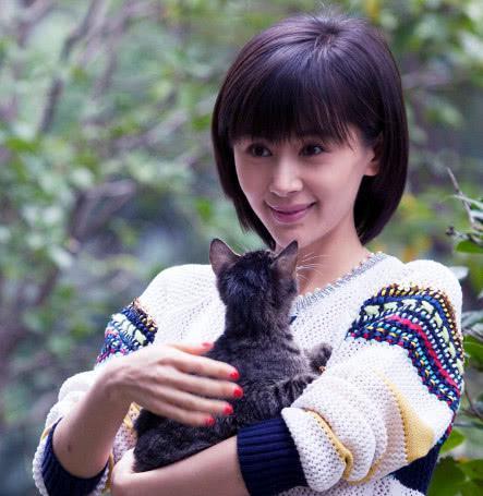 继《欢乐颂》后,王子文又一新剧将来袭,男主是帅气他?!