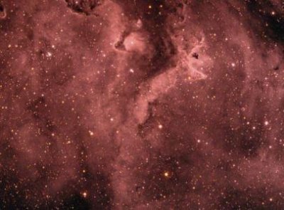 ​世界上最薄的人 世界上脸皮最薄的人