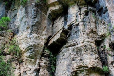 ​当今世界上最长的蛇