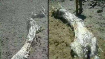 ​世界上最矮的山的美景