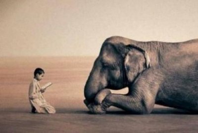 ​零食排行榜 前十名鸡肉