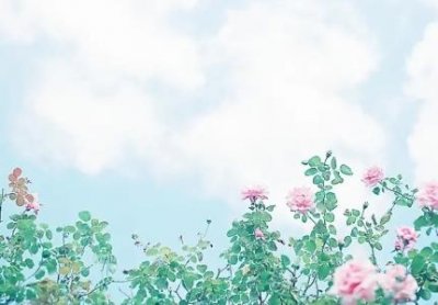 ​百慕大三角几个科学未解之谜：百慕大三角事件未解之谜