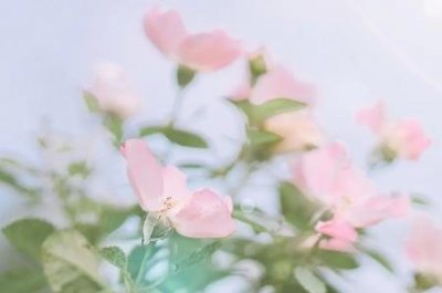 ​龙与虎相配吗？龙与虎属相相配婚姻如何