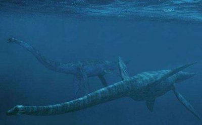 ​喀纳斯湖水怪是什么动物？抓住了？新疆水怪是什么动物？真