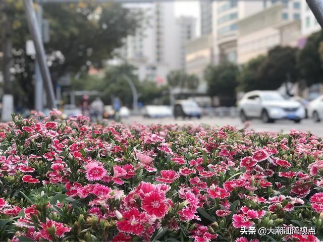 广东属于什么气候(广东是什么气候类型)