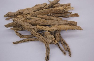 ​地骨皮的功效与作用主要治什么病？地骨皮的功效与作用用量