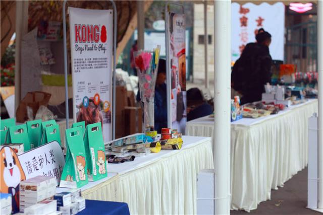 上海宠物领养活动（来上海动物园免费领养宠物）(4)