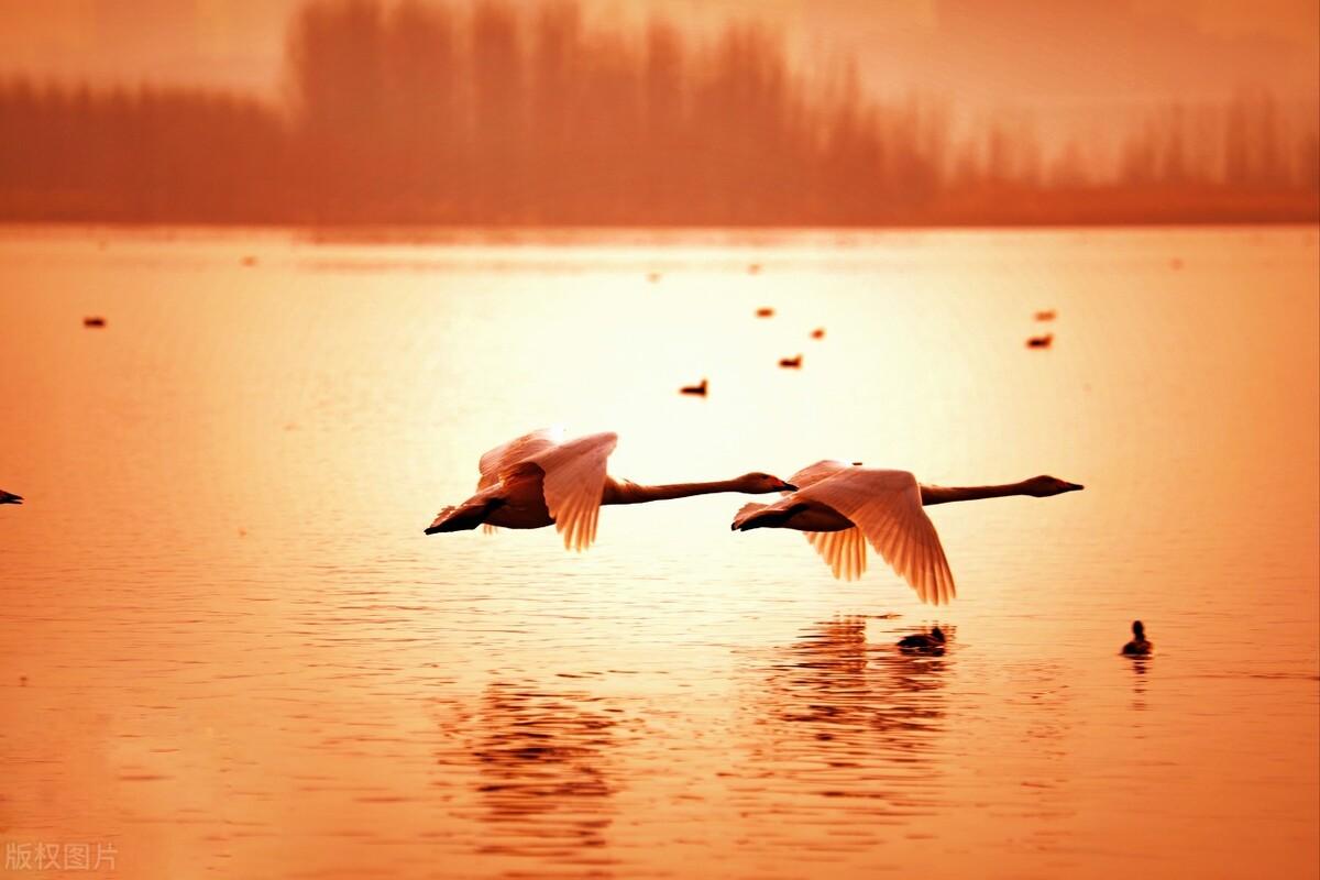 云南文山州旅游景点有哪些(云南文山旅游必去的5个景点)