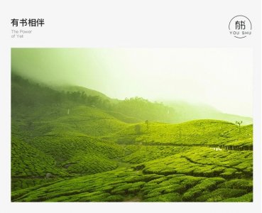 ​做人做事要低调、别太炫耀（低调做人高调做事是什么意思）