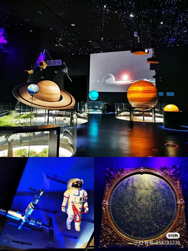 天津滨海海洋博物馆攻略(天津免费又涨知识的遛娃宝地)(4)