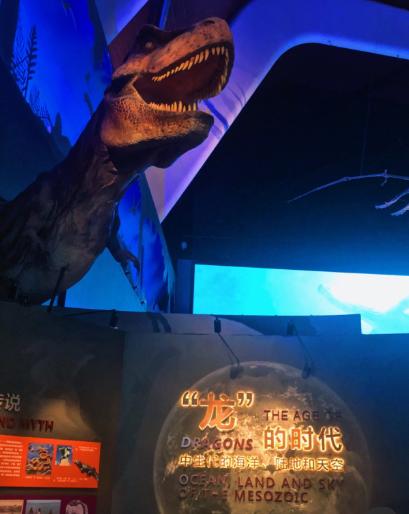 天津滨海海洋博物馆攻略(天津免费又涨知识的遛娃宝地)(5)