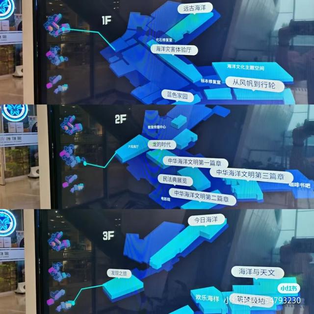 天津滨海海洋博物馆攻略(天津免费又涨知识的遛娃宝地)(3)