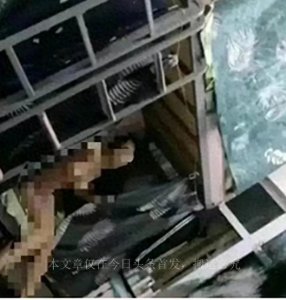 ​防火防盗防室友？女生偷拍室友裸照传播到网上沾沾自喜，恶行曝光