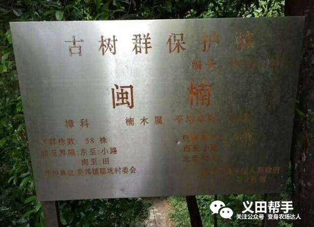 法国葡萄庄园简介(红贵族葡萄园中的真贵族农场故事)(7)