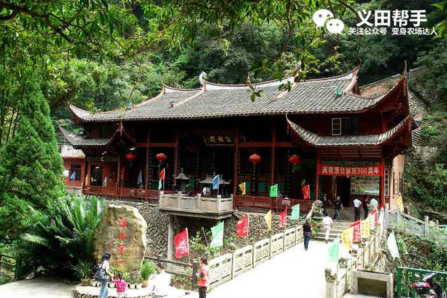 法国葡萄庄园简介(红贵族葡萄园中的真贵族农场故事)(4)