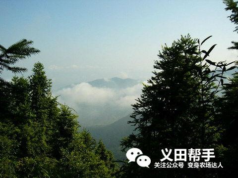 法国葡萄庄园简介(红贵族葡萄园中的真贵族农场故事)(8)