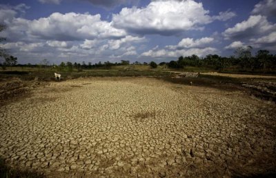 ​厄尔尼诺将卷土重来！最新研究：或致全球经济损失数万亿美元