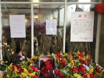 又有地方买花啦!三圣花乡拟建花卉市场