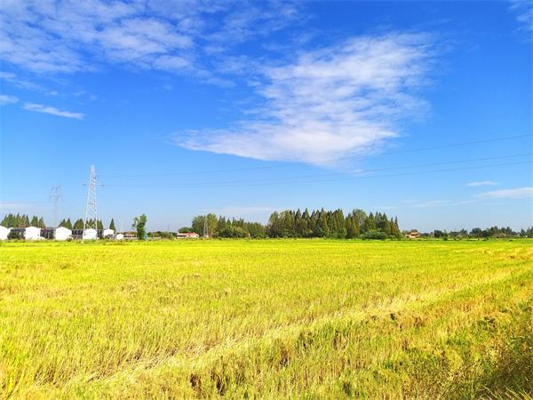 孝南区是哪个省哪个市的(孝南区属于哪个市)