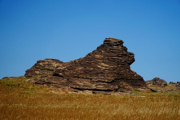 苏尼特左旗属于哪个市哪个省(苏尼特左旗属于哪个市)