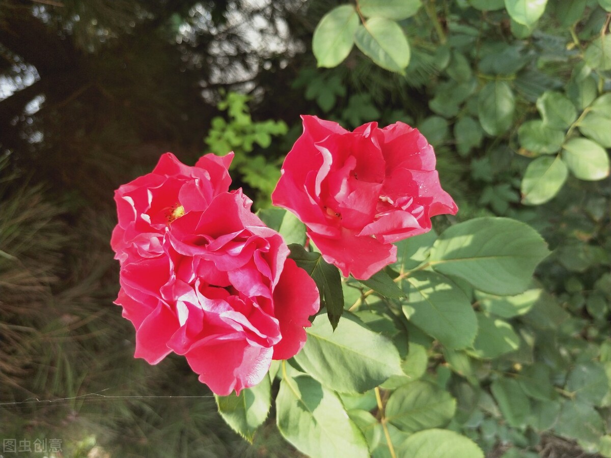 男朋友会怀念前女友(男友怀念前女友的迹象表现)(图2) 男朋友会怀念前女友(男友怀念前女友的迹象表现)(图2)