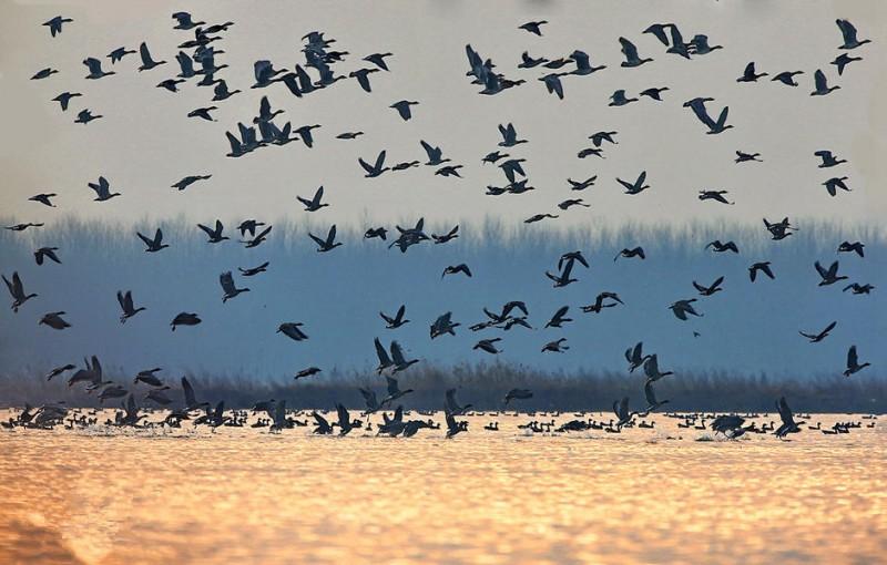 汝南是哪个省哪个市的(汝南县属于哪个市)