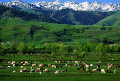 ​新疆211大学有哪些学校（盘点新疆三所211大学）