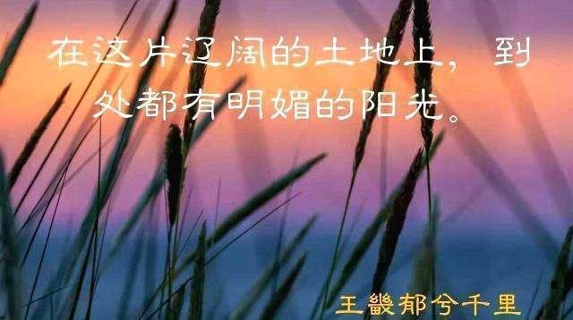 藁城区属于哪个省哪个市(河北藁城市属于哪个市)