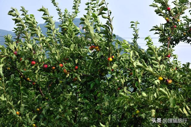 辽宁开原附近旅游景点推荐一下（辽宁铁岭开原市松山镇有象牙山景区）(4)
