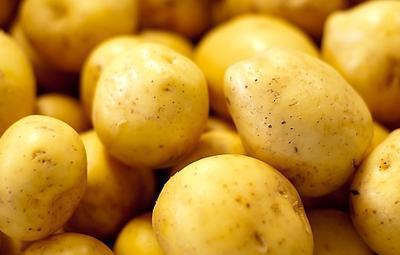 土豆刚冒出一点小芽的能吃吗（土豆发了一点芽切掉还能吃吗）(图7)