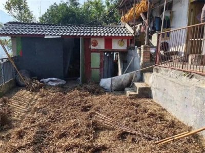 ​四川一村民家中遭黑熊袭击，妻子重伤丈夫持斧击杀黑熊