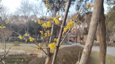 ​春节之正月初五的习俗