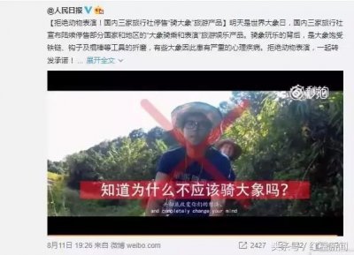 ​《黑象》导演：我一辈子忘不了那个叫声 巨大 痛苦 恐怖