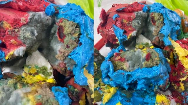 韩国女星松雨制作蛋糕售卖有霉菌（女星松雨此前涉嫌抄袭）