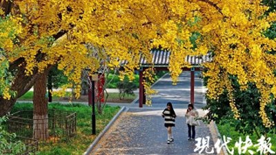 ​“东方最美校园”开放啦！南京师范大学寒假开放时间定了