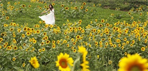 农村创业!这几个新兴的项目适合农村,还有政策扶持。