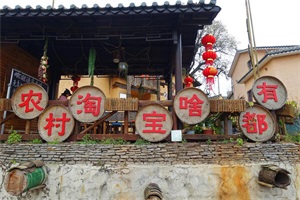 农村创业!这几个新兴的项目适合农村,还有政策扶持。