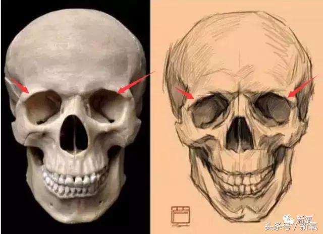 杨紫的美白方法（杨紫瘦了但这个部位却更丑了）(49)