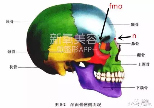 杨紫的美白方法（杨紫瘦了但这个部位却更丑了）(27)