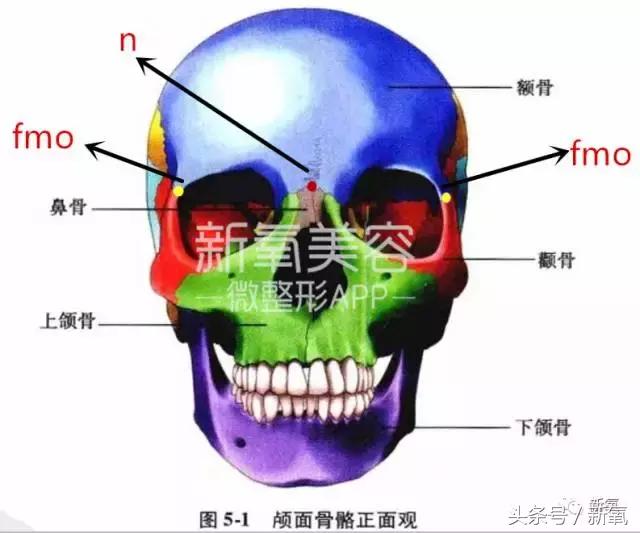 杨紫的美白方法（杨紫瘦了但这个部位却更丑了）(21)