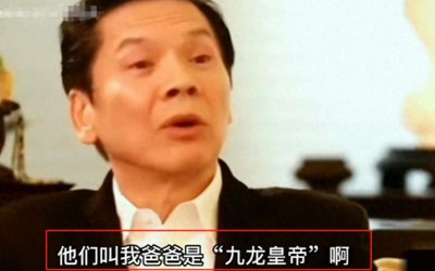 ​向华强亲儿子惹怒“大人物”被暴揍？传闻对方在东莞一手遮天？