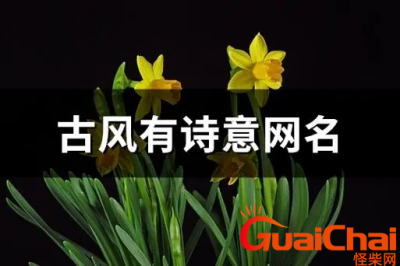 ​诗意淡雅的网名有哪些？好听又有诗意的昵称