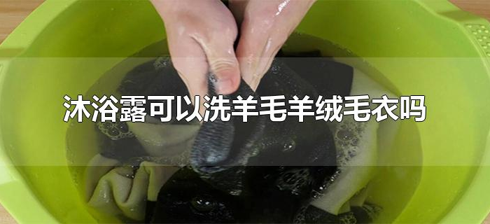 沐浴露可以洗羊毛羊绒毛衣吗