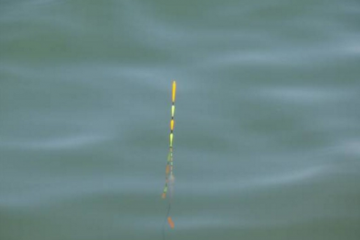 ​漂可以组什么词（漂可以组什么词语呢）