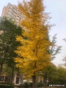 ​谷歌浏览器在哪里设置代理服务器（谷歌浏览器代理设置添加例外地址）