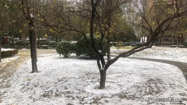 谷歌浏览器在哪里设置代理服务器（谷歌浏览器代理设置添加例外地址）(2)