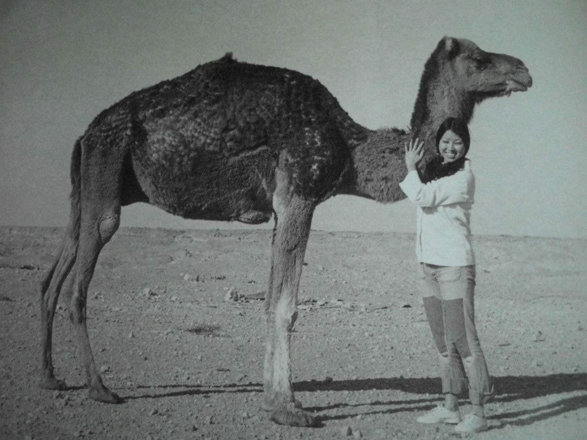 三毛简介及一生经历（荷西去世12年，三毛为何还要自缢？17年后遗书公布才知她的绝望）