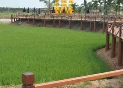 十大中国十大露营公园排行榜 中国哪里有露营地 3