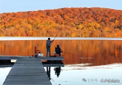 ​秋季垂钓知识总结，掌握这些，想钓不到鱼都难！