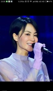 ​王菲的歌怎么形容(谢霆锋王菲的感情历程)